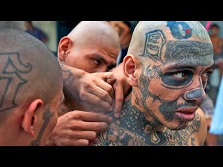 ms-13: